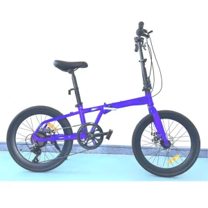 20 Inch Folding Bike for Adults Steel Frame with 6/7 Speed Disc Brake System for Mountain Riding