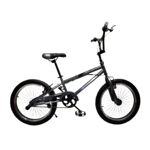 20 Inch Freestyle BMX Racing Bike, Single Speed, Disc Brake