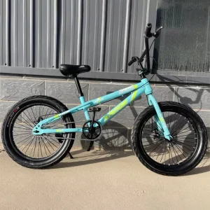 20 Inch Freestyle Single Speed Double Disc Brake BMX Kids Bike