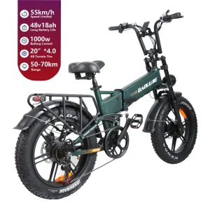 20 Inch High Speed Classic Folding Electric Bike 48V 1000W Portable City E-Bike with Disc Brake