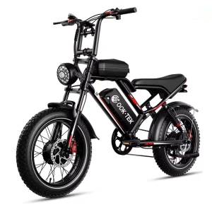 20 Inch Hybrid Mtb Ebike 1000W Motor E Fat Tire Enduro Bike Adult Electric Mountain Dirt Pit Bicycle EU Warehouse