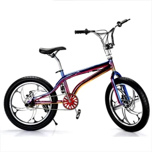 20 Inch Kids’ BMX Bike Ages 6-12 Racing Single Speed Ordinary Pedal Double V Brake Steel Frame