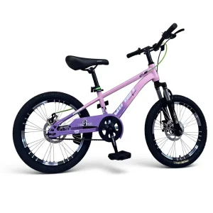 20 Inch Kids Mountain Bike Boys Girls High Carbon Steel Frame Dual Shock Absorber Disc Brake Integrated Wheel Outdoor Bicycle