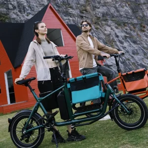 20 Inch Long Tail Cargo Bike City Bicycle for Delivery Children and Pets