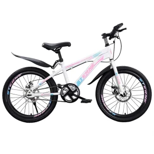 20 Inch Mountain Bike for Boys & Girls Aged 8 15 Dual Disc Brakes Front Suspension Bicycle for Primary & Secondary Students