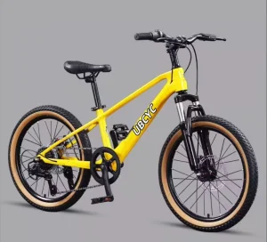 20 Inch Mountain Bike with ISO8098 Boy Style Small City Bike Children Bike More Colours Kids Bike Suitable for Student Sports