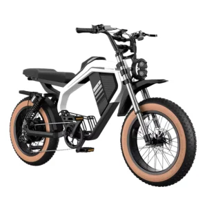 20 Inch Off-Road Beach Retro Lithium Battery 52V 1500W High-Speed Rear Hub Motor Steel Frame Fat Tire Electric City Bike