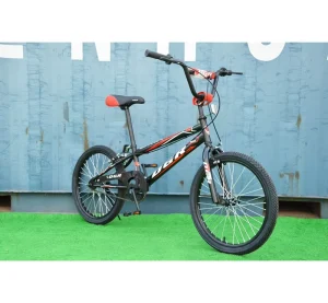 20 Inch Simple BMX Bike Freestyle Bicycle