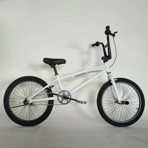 20 Inch Single Speed BMX Stunt Bike with Steel Fork and Aluminum Alloy Rims