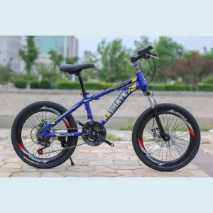 20 Inch Single Speed Mountain Youth Teens Kid Bicycle for 6-15 Years Old Children