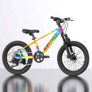 20 Inch Single Speed Mountain Youth Teens Kid Bicycle for 9 10 Years Old Children Bisicleta Children’s Bike