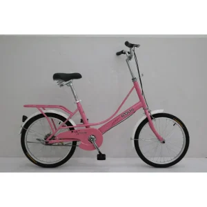 20 Inch Single Speed Pink Princess Bike Girl Women Cross City Bike