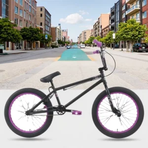 20 Inch Single Speed Steel Fork Disc Brake Freestyle BMX Bike for Adult Street Use