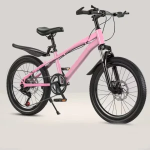 20-Inch Speed Student Bicycles High Quality and Good-Looking Boys and Girls Bicycles