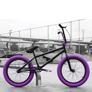 20 Inch Steel Frame Fat Tire Freestyle Street BMX Mountain Bike Racing Bicycle for Men