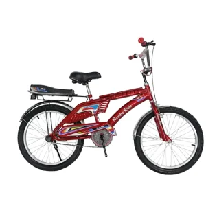 20 Inch Steel Single Speed Sports Bicycles for Kids Children’s Mountain Bike for 3-15 Year Old Boys and Girls