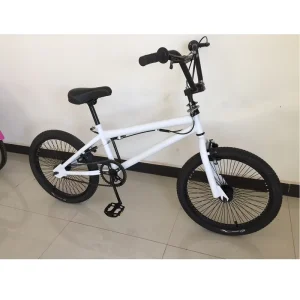 20 Inch Street Stunt Modified Gear BMX Cycle for Kids