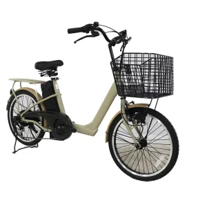 20 Inch Sturdy Men’s Electric Bicycle 24V 250W Rear Hub Motor Urban Adventure Off-Road Capabilities Lithium Battery Power Supply
