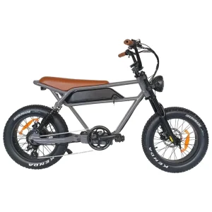 20 Inch Super Cruiser Fat Tire Retro Electric Bike for Adult