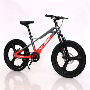 20 Inch Teen Mountain Bike Black Tire Easy Control Kids Sport Cycle