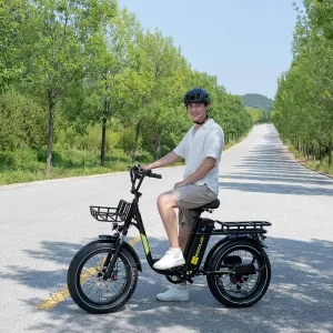 20 Inch X7 Electric Cargo Bike Hydraulic Brake Hybrid 250W 750W Fat Tire
