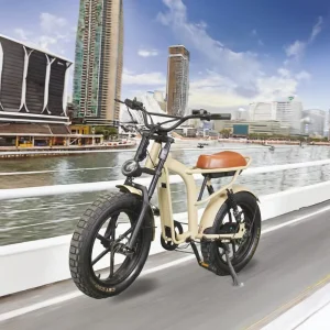 20-Inch Fat-Tire Hybrid Electric Bicycle, Adult Electric Bicycle, Supports OEM/ODM