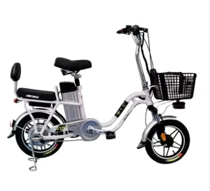 20″ Powerful Electric Bicycle 48V High Capacity Lead Acid Battery 1000W Brushless Motor Electronic High Speed Long Range
