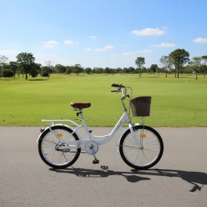 20″ Steel City Cruiser Bike Classic Step Through Bicycle with Basket for Women