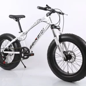 20-inch 4.1 beach fat tyre snow bike with gears dual disc brakes Aluminium alloy rims off-road mountain bike