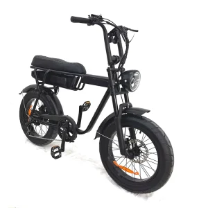 20-inch Aluminum Alloy Electric Fat Tire Mountain Ebike Removable Lithium Brushless Motor Front+Rear Suspension