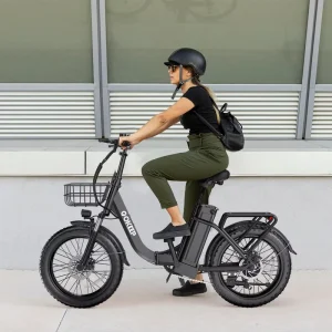 20-inch Fat-tire Electric Bike OEM Customization Available Stylish Women Pedal-assist Brushless Rear Hub 52V 13Ah Battery
