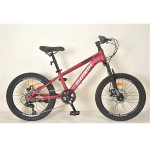 20-inch Rim Bicycle with Gears, Steel Bike for 7-10 Year Old Children, 20-wheel Children’s Bike