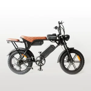 20-Inch 48V 250W Suspension Aluminum-Alloy Integrated-Wheel Motor Fat-Tire Electric Hybrid Bicycle