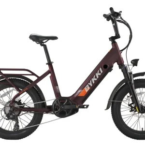 20-Inch Electric Hybrid Bike, 8-Speed 48V Snow-White Fat Bike, 750W Rear Hub Motor, City Riding, US Standard