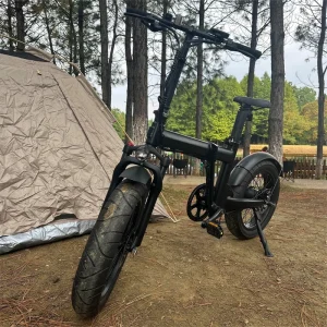 20Inch Fat Tire Electric Bicycle 36V 250W Lithium Battery Aluminum Alloy Frame 7 Speed All Terrain Urban Off Road Adventure