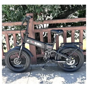 20X4 Ebike 750W 48V Motor Men’s Full Suspension Electric Hydraulic Brake Bike Fat Tire Adult Moped Bicycle in Stock on Sale