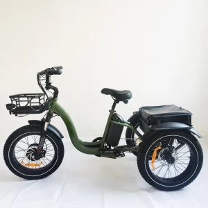 20inch Cargo Three Wheel Electric Bicycle Front Drive Electric Tricycle Fat Tyre 3 Wheel 750W Electric Mountain Bike