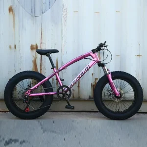 20inch Children Fat Tire Bike with bike tire 4.0
