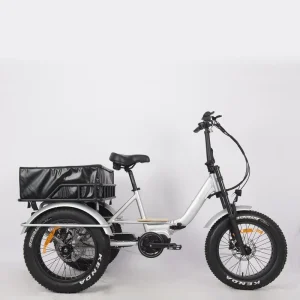 20inch Folding Aluminum Alloy Frame Lithium Battery 3 Wheel Cargo Electric Trike Fat Tire Tricycle with Central Motor