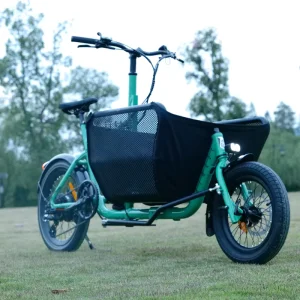 20inch Mini Cargo Electric Bike with 9 Gears and Rear Hub Brushless Motor Pedal Assist 36v Lithium Battery for Carry Pets