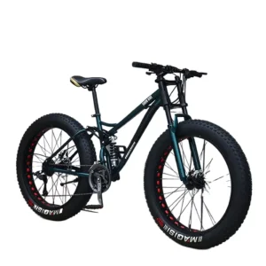21-Speed Full-Suspension Hybrid Bicycle with Fat Tires for Snow and Mountain Riding