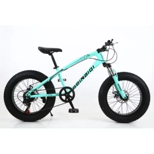 21-Speed Cycle 20 Inch Adult Downhill Mountain Bikes Men’s Bicicleta Men Mountain Bikes