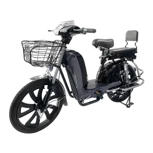 22 Inch 1000W 60V Lithium Battery Cargo Electric Bicycle for Delivery
