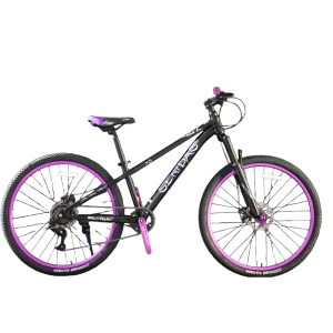 24/26/27.5 Inch MTB Bicycle Aluminum Alloy Frame Suspension Fork Front Suspension Disc Brake for Jumper Bicycle
