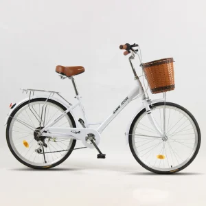 24″ 26″ High Carbon Steel Frame Single Speed City Bicycle Adult Urban Commuter Bike
