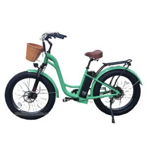 24-Inch Fat-Tire Beach Bike, 48V 250W Motor, Step-Through Electric Bicycle, City Electric Bicycle