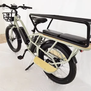 24 Inch Cargo Bike Electric Delivery Bike for Family Use