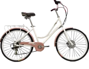 24 Inch Colorful Carbon Steel Mountain Bike for Women