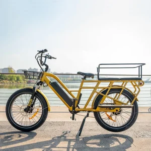 24 Inch Electric Cargo Bike Rear Hub Motor Food Delivery 7-Speed Lithium Battery 750W 1000W 150kg Load Capacity