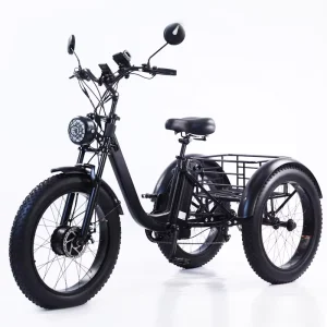 24 Inch Electric Cargo Bike Steel Frame 750W Front Hub Motor 48V Lithium Battery Thick Fat Tire Snow Riding Pedal Power